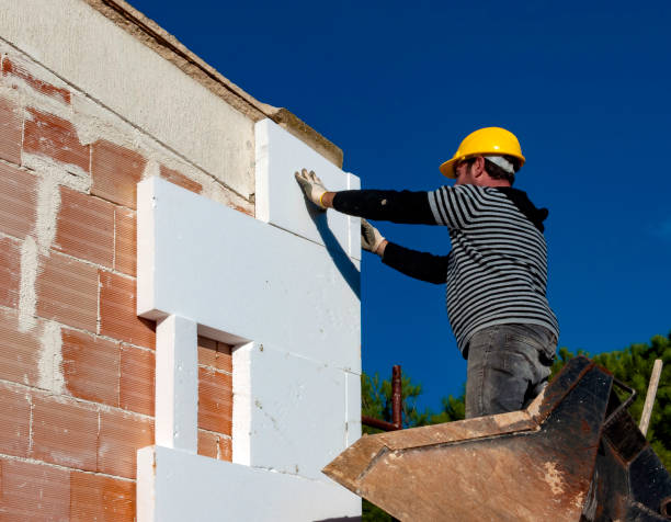 Best Commercial Insulation in Corona De Tucson, AZ