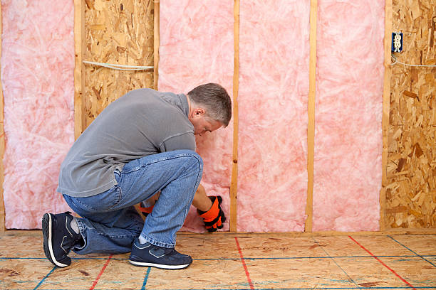 Best Geographic-Specific Insulation Services in Corona De Tucson, AZ