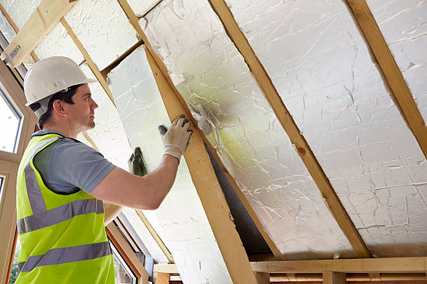 Best Specialized Insulation Services in Corona De Tucson, AZ