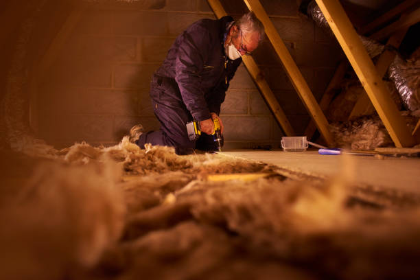 Professional Insulation Contractor in Corona De Tucson, AZ